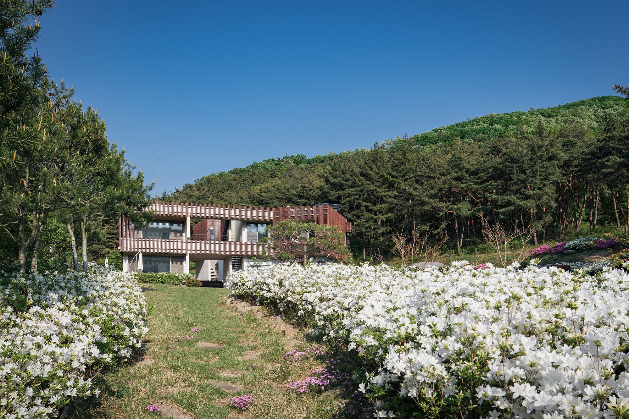 스테이 수화림