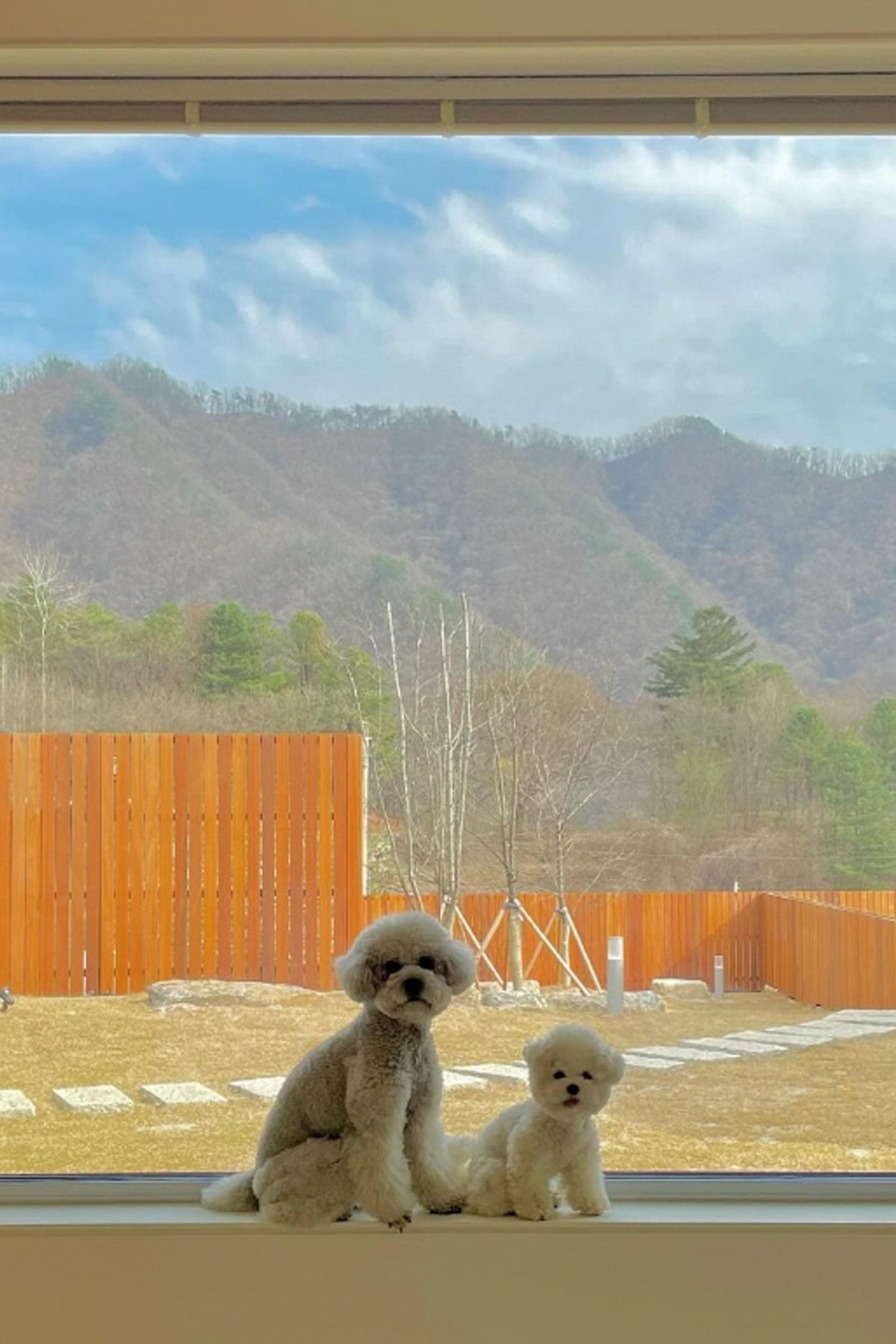 빌라 반우 객실 A동