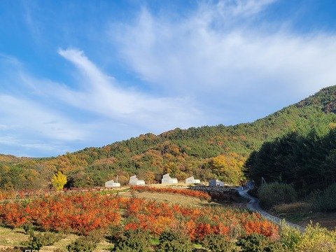 숙소 이미지