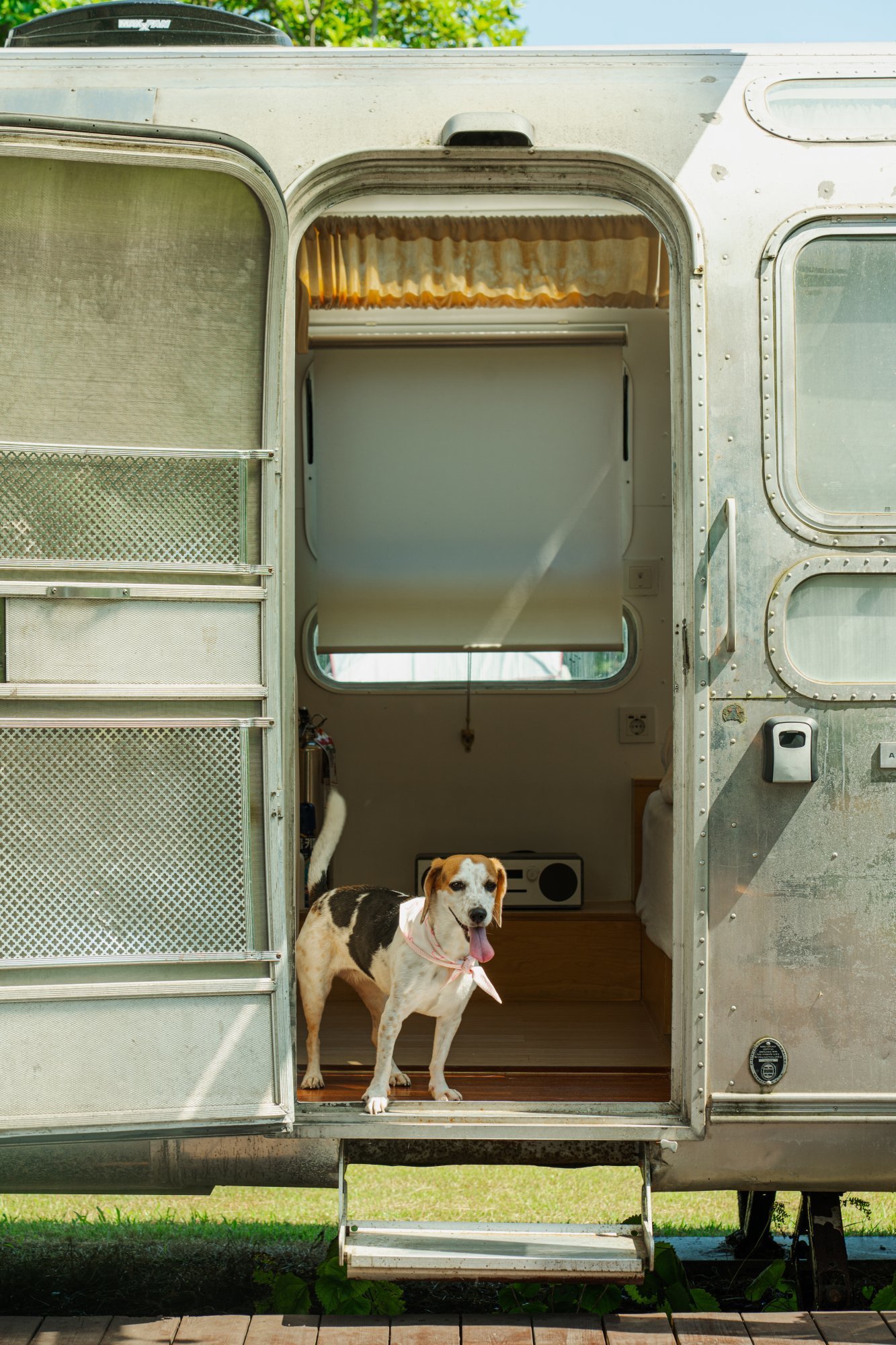 Around Follie 客室 Airstream 31ft +