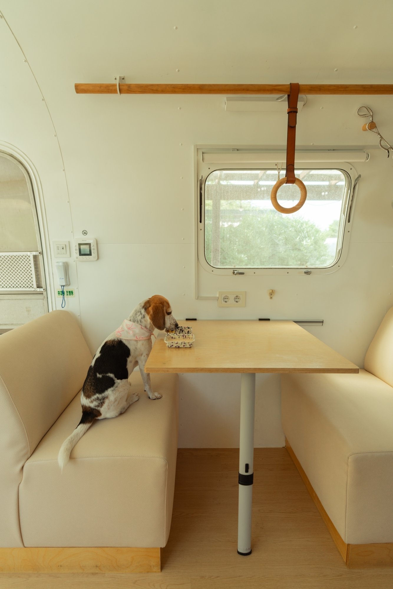 Around Follie 客室 Airstream 31ft +