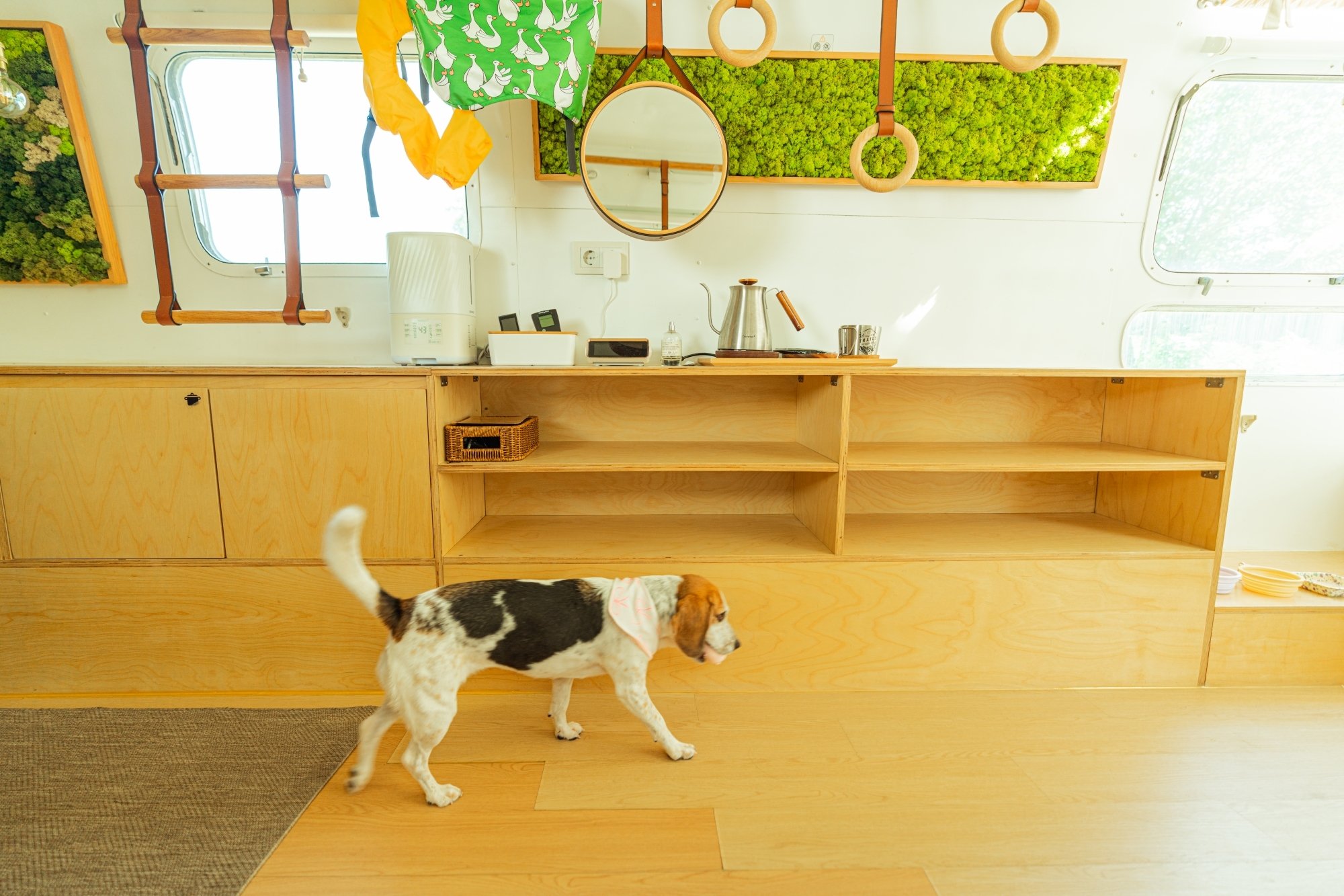 Around Follie 客室 Airstream 31ft +